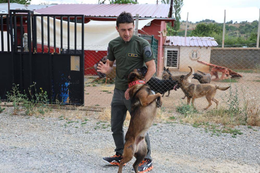 Konya’da zorlu eğitimden geçirilen köpekler afetlerde görev alıyor 9